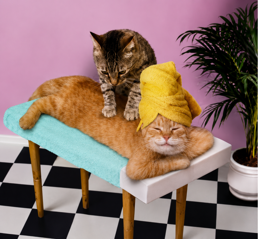 Massagem para o noivo